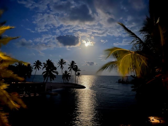 Ocean View