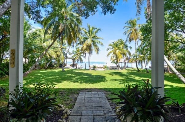 View of Backyard